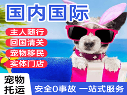 伊春林都机场空运国际宠物托运 【国